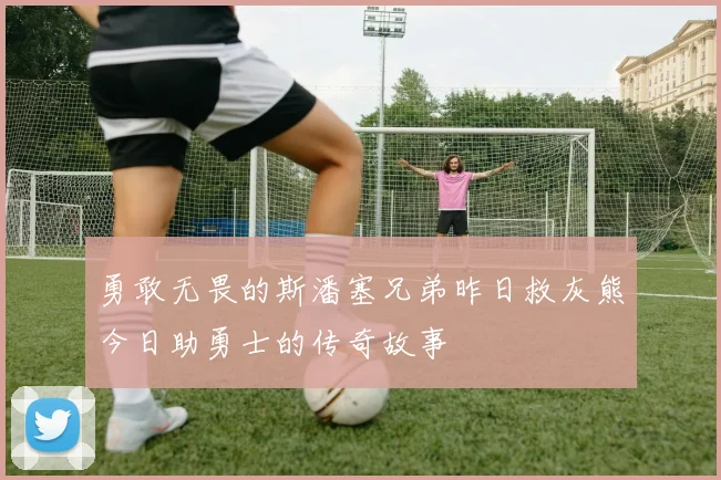 勇敢无畏的斯潘塞兄弟昨日救灰熊今日助勇士的传奇故事