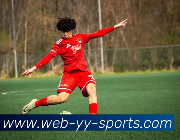 易游体育平台生态图